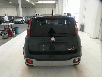 Fiat Panda CITY CROSS picture 7
