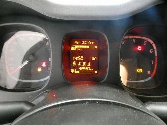 Fiat Panda CITY CROSS picture 14