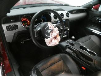 Ford Mustang  picture 19