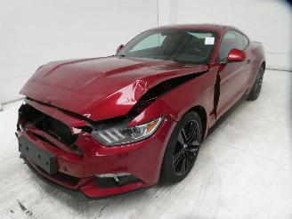 Ford Mustang  picture 5