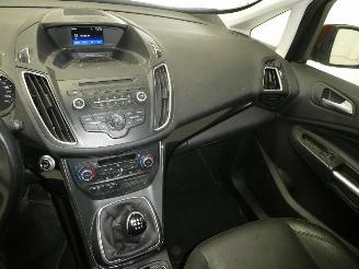 Ford Grand C-Max TITANIUM picture 13