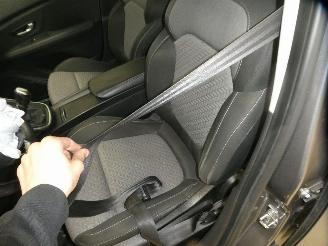 Renault Scenic IV LIMITED picture 19