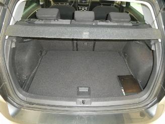 Volkswagen Golf ALLSTAR picture 18