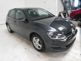 Volkswagen Golf ALLSTAR picture 10