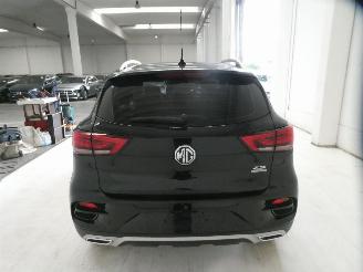 MG ZS LUXURY picture 10