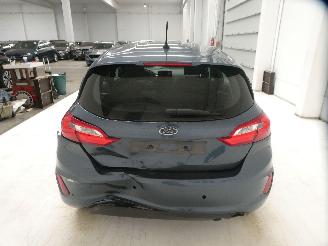 Ford Fiesta BUSINESS picture 5