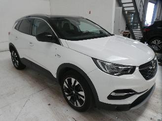 Opel Grandland X INNOVATI picture 11