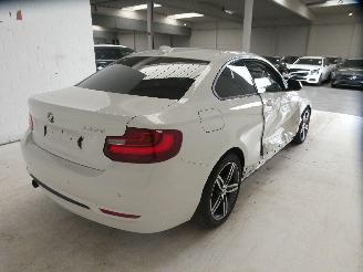 BMW 2-serie D picture 8