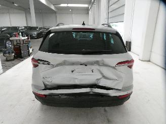 Skoda Karoq AMBITION picture 6