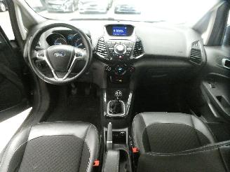 Ford EcoSport  picture 13