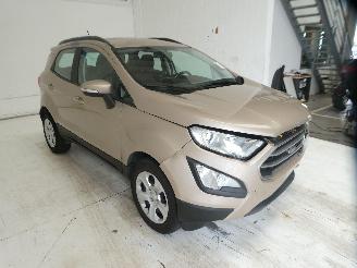 Ford EcoSport COOL&CONNEC picture 9