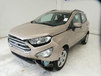 Ford EcoSport COOL&CONNEC picture 4