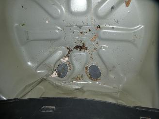 Citroën C3 III LIVE picture 24