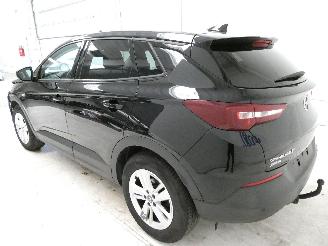 Opel Grandland  picture 4