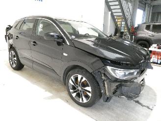 Opel Grandland INNOVATION picture 6