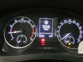 Skoda Rapid AMBITION picture 13