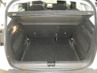 Opel Crossland X 120 JAAR picture 21