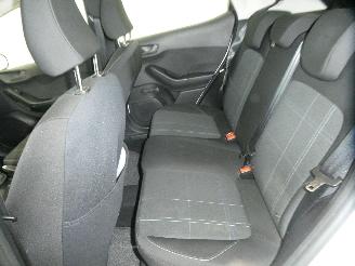 Ford Fiesta 1.1 5 DEURS picture 13