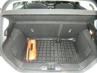 Ford Fiesta 1.1 5 DEURS picture 14