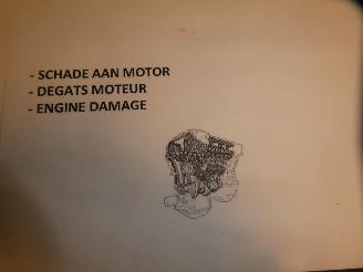 Renault Clio MOTORSCHADE picture 22