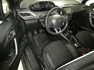 Peugeot 2008 ACTIVE picture 16