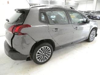 Peugeot 2008 ACTIVE picture 6