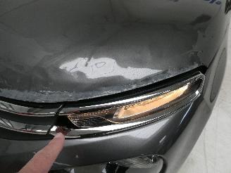 Citroën C3 III LIVE picture 11