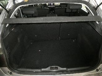 Citroën C4 cactus CACTUS picture 18