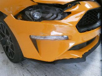 Ford Mustang  picture 10
