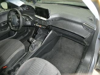 Peugeot 2008 II ACTIVE picture 14
