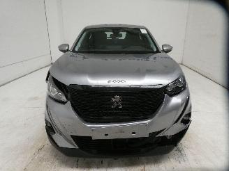 Peugeot 2008 II ACTIVE picture 2