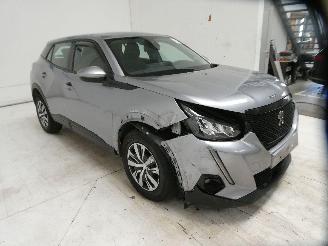 Peugeot 2008 II ACTIVE picture 9