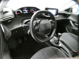 Peugeot 2008 II STYLE picture 19