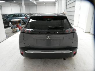 Peugeot 2008 II STYLE picture 8