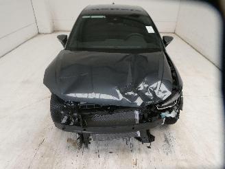 Seat Ibiza COPA picture 3