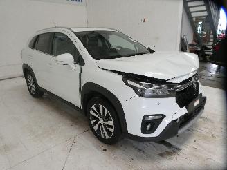 Suzuki SX4 S-CROSS BOOSTERJET C picture 12