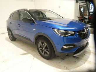Opel Grandland Z picture 11