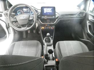 Ford Fiesta  picture 10