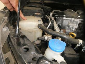 Toyota Corolla  picture 22