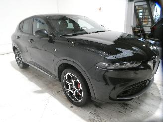 Alfa Romeo Tonale IBRIDA picture 10