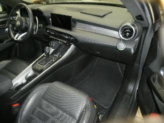 Alfa Romeo Tonale 1.6D picture 12