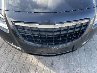 Opel Insignia 2.0 CDTI SPORT picture 12