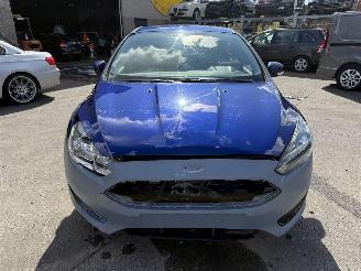 Ford Focus ST-LINE picture 2