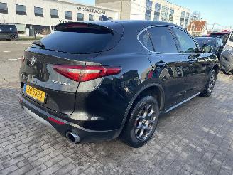 Alfa Romeo Stelvio Q4 ENGINE OUT picture 8