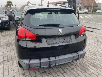 Peugeot 2008 ACTIVE picture 9