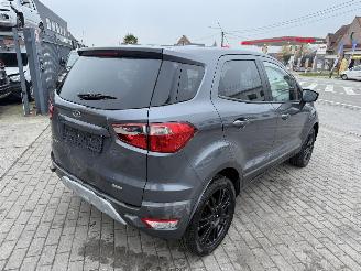 Ford EcoSport 1.0 picture 11