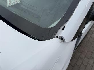 Citroën Berlingo 1.5 HDI picture 13