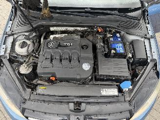 Volkswagen Golf 1.6 TDI picture 11