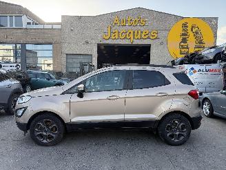 uszkodzony samochody osobowe Ford EcoSport 1.0I TREND 2019/1
