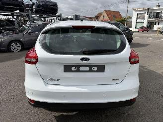 Ford Focus MOTOR ??? picture 9